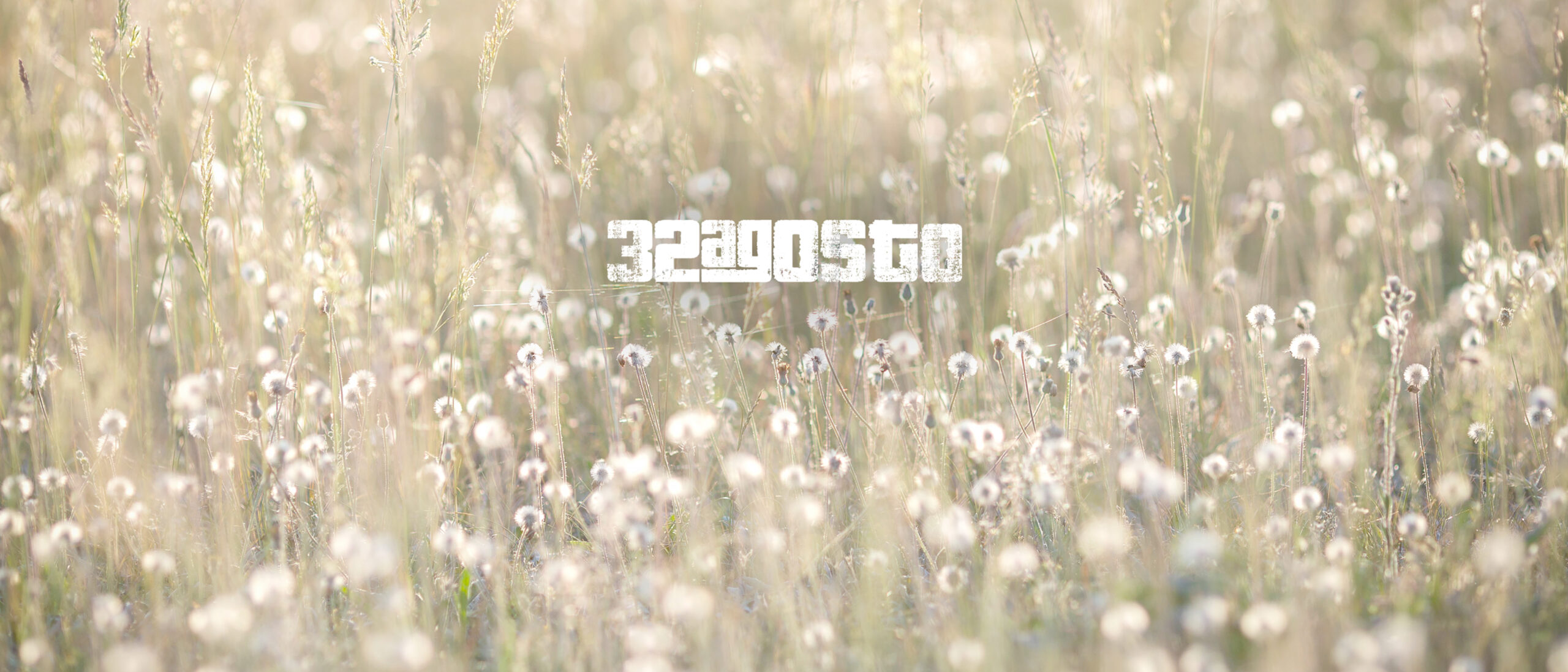 Header-Bianco